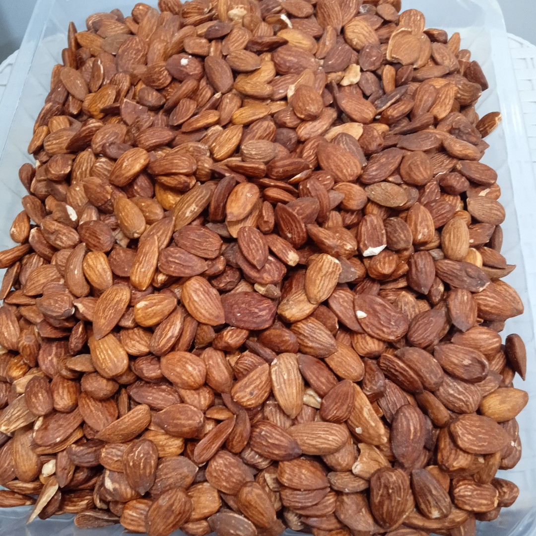 بادام درختی ایرانی شور 100 و 1000 گرمی
