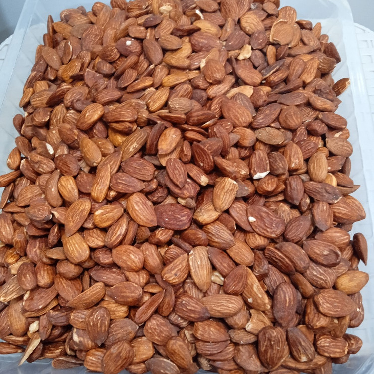 بادام درختی ایرانی شور 100 و 1000 گرمی