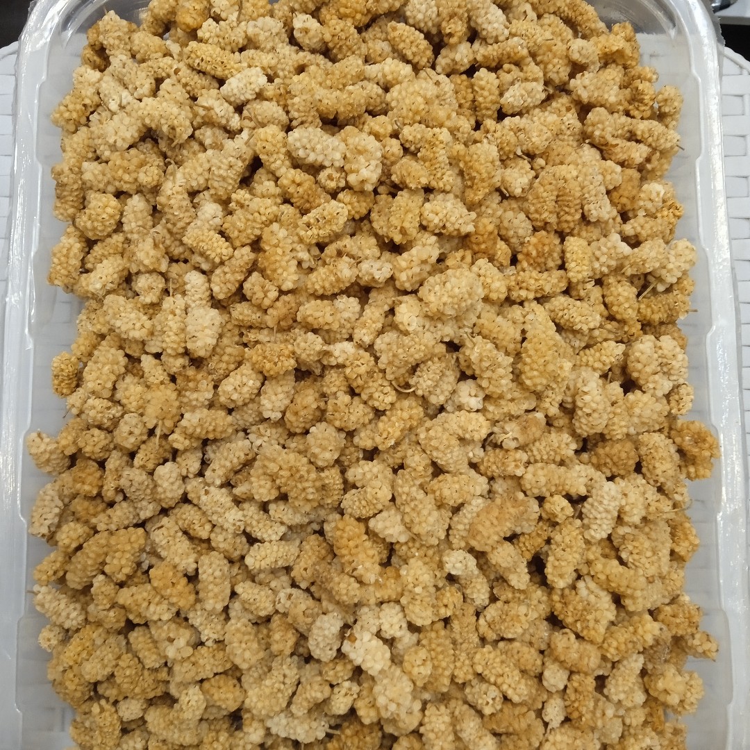 توت خشک درجه یک 100 و 500 گرمی